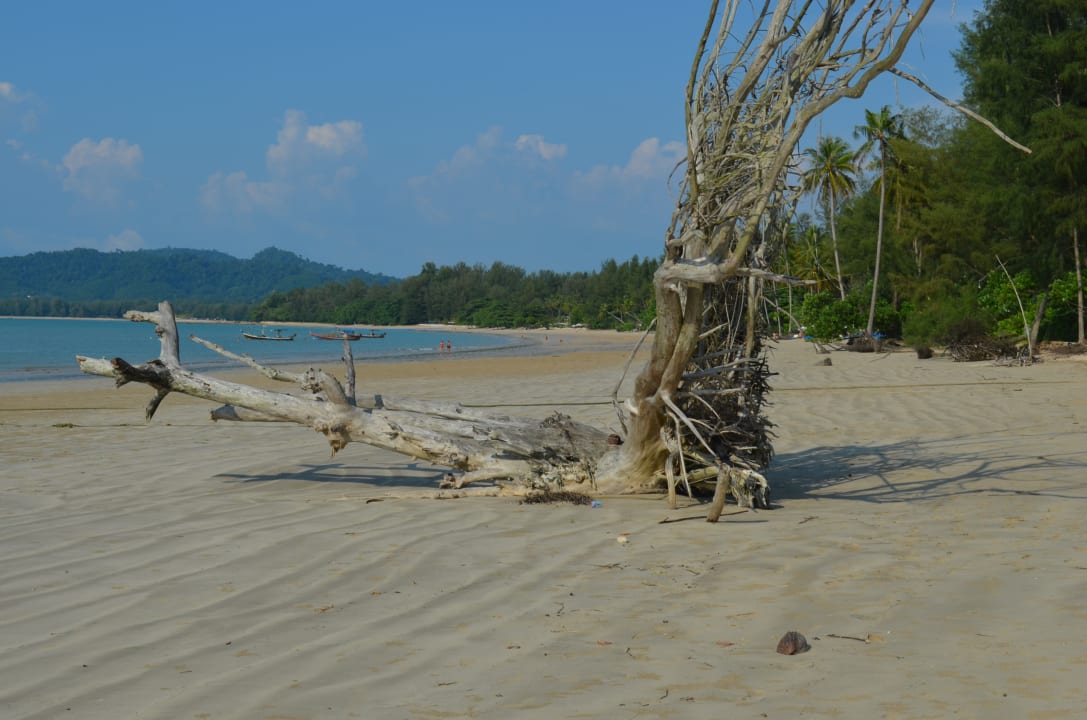 Strand Kantary Beach Hotel - KHAO LAK