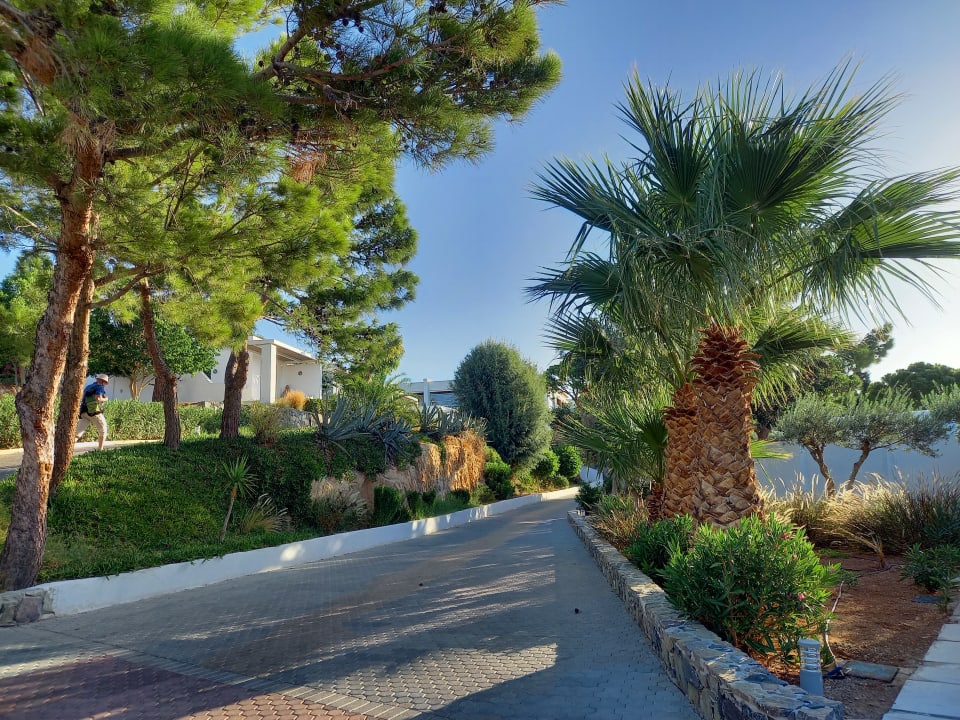 Gartenanlage Kakkos Beach Hotel