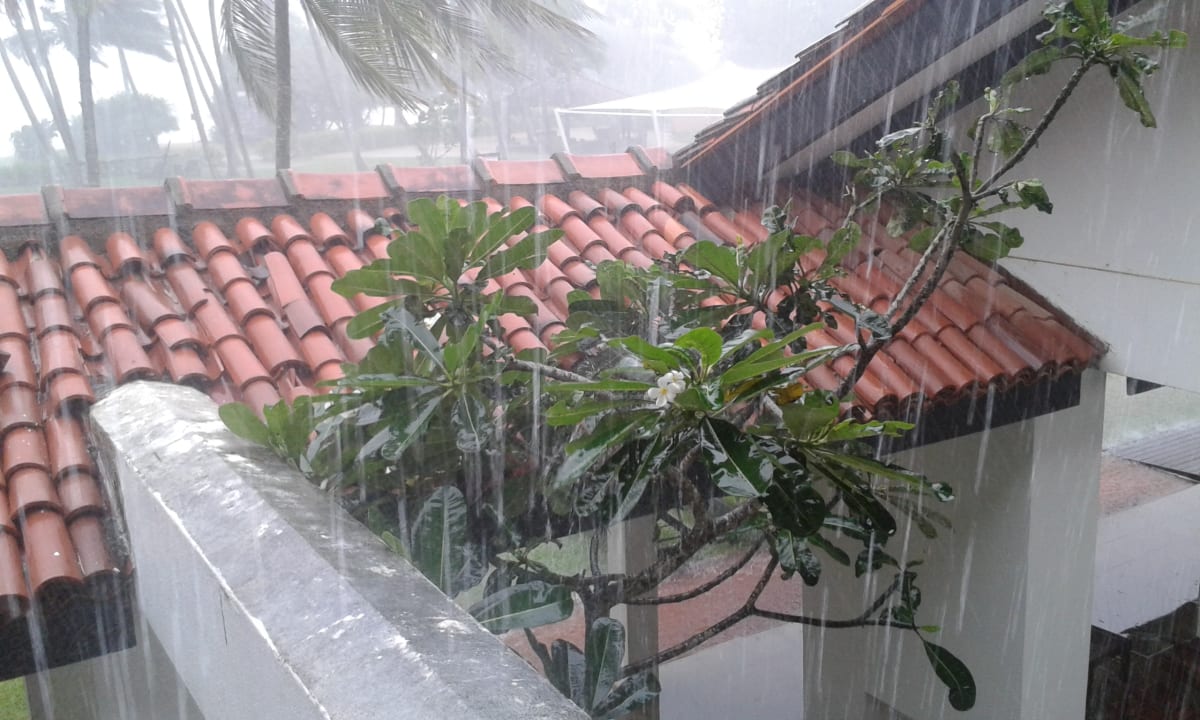 Ausblick Thaala Bentota