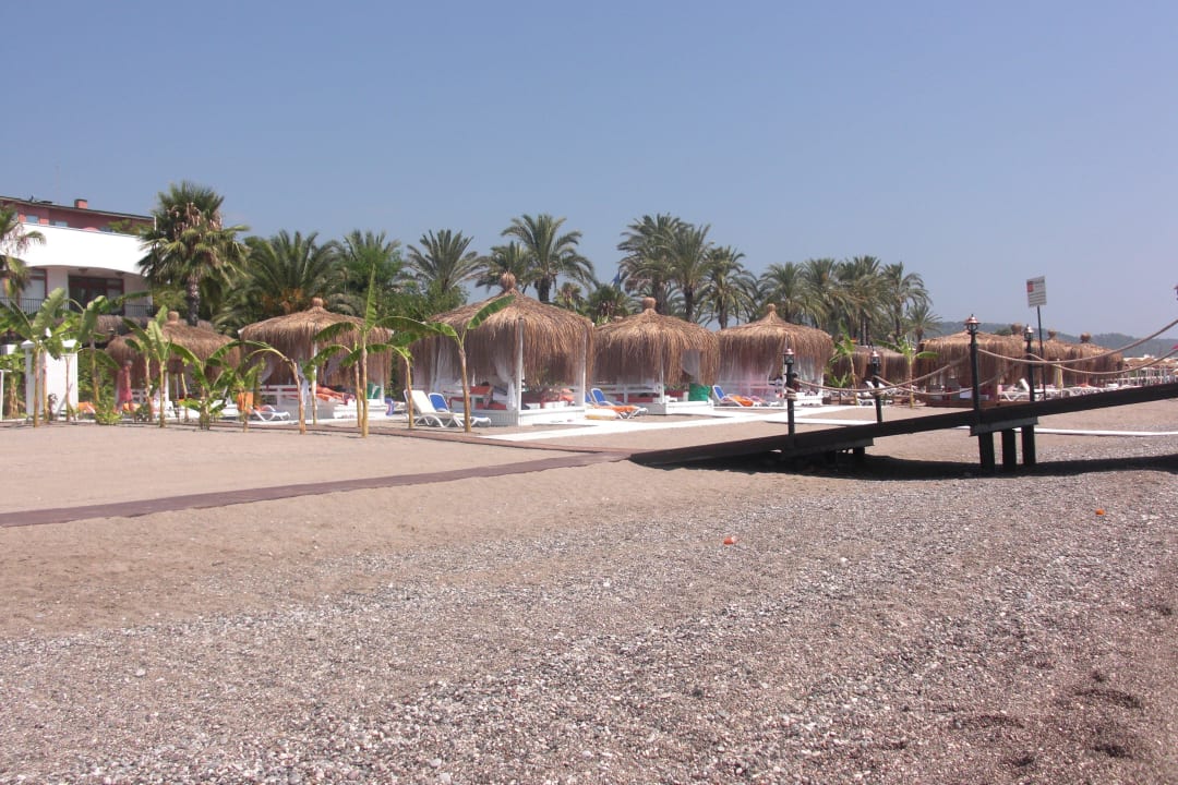 Chillarea Emelda Sun Club