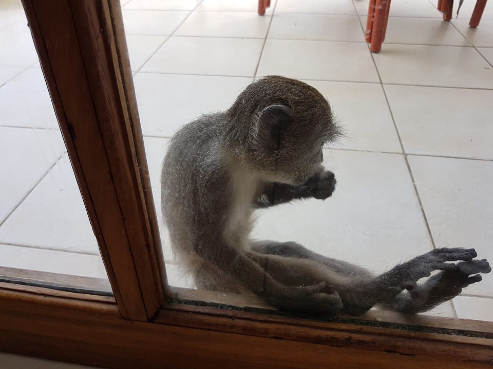 Zimmer Neptune Village Beach Resort & Spa