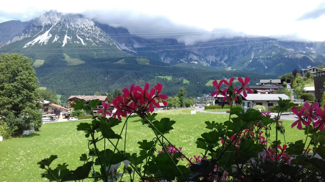 Ausblick Pension Erlenau