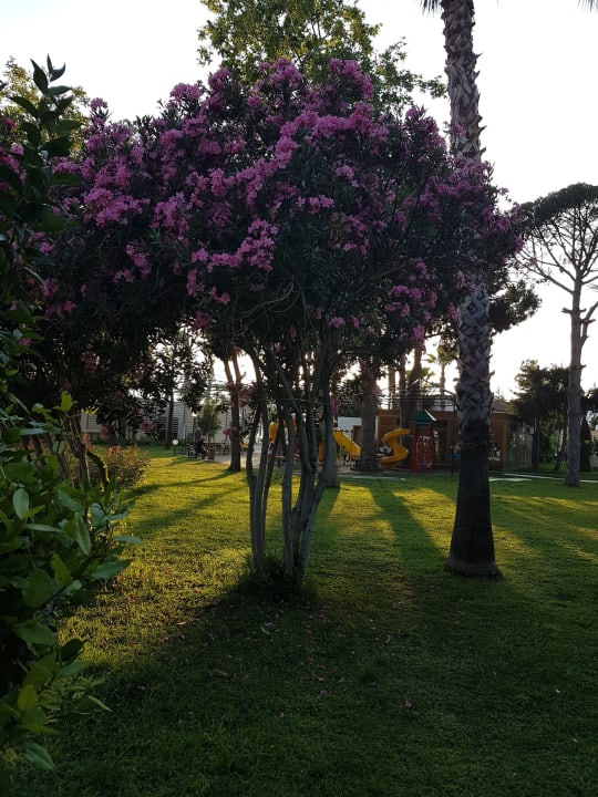 Garten Labranda Alantur Resort