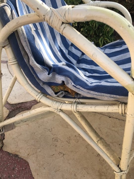 Gartenanlage Regency Plaza Aqua Park & Spa