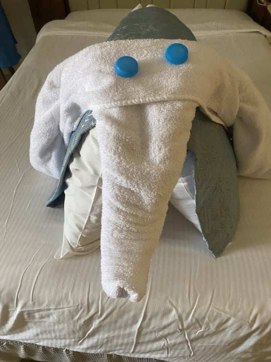 Zimmer Serenity Alpha Beach