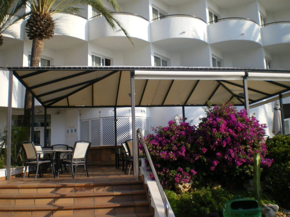 Poolbar Hipotels Hipocampo Playa