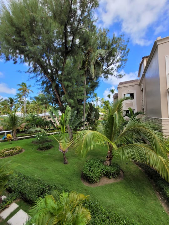 Gartenanlage Grand Palladium Select Bávaro Resort & Spa