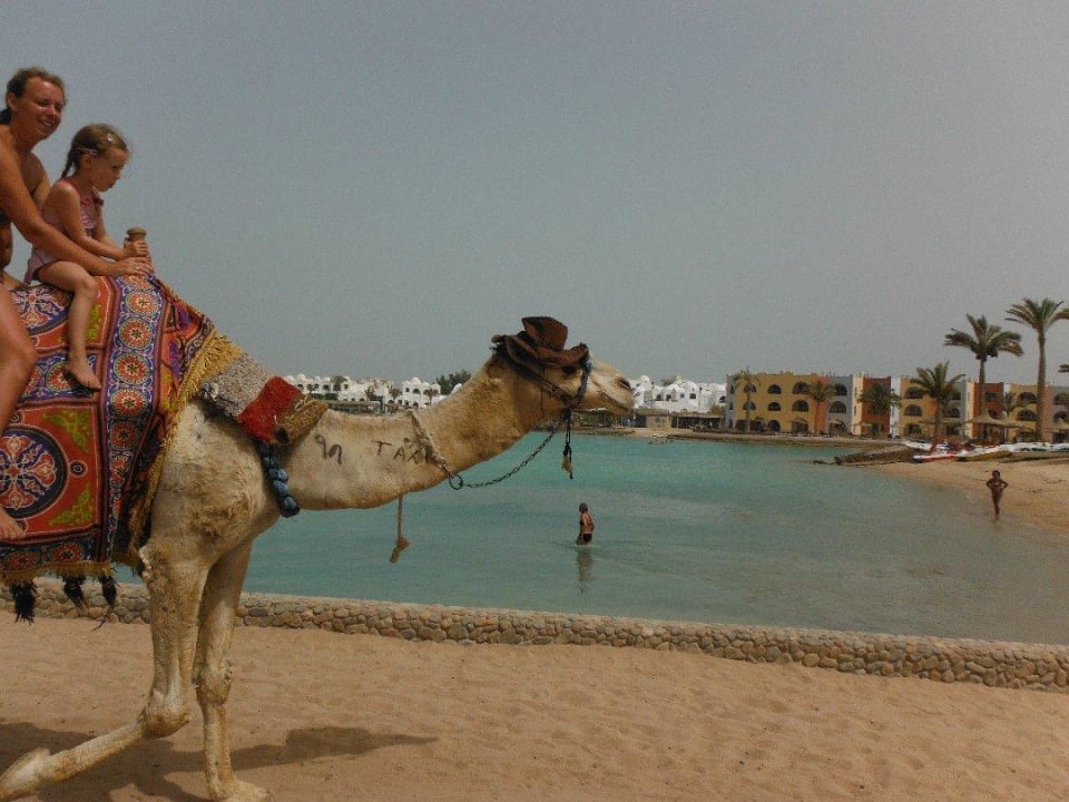 Romio Arabia Azur Resort