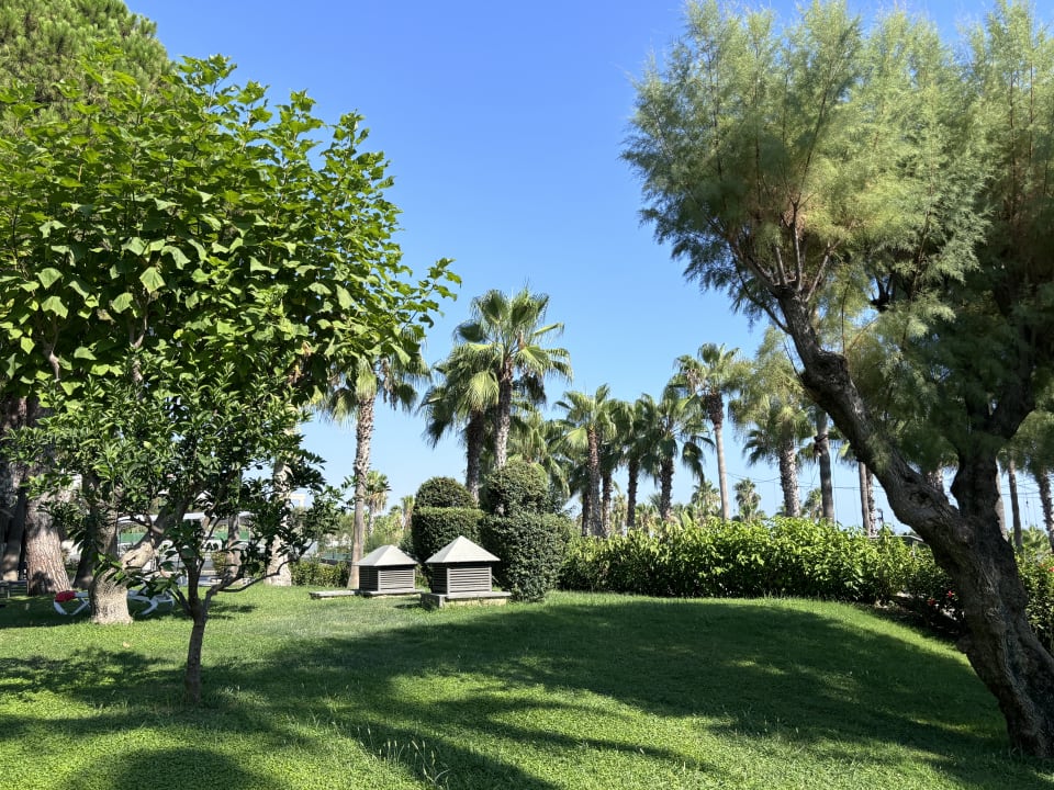 Gartenanlage Hotel Miramare Beach