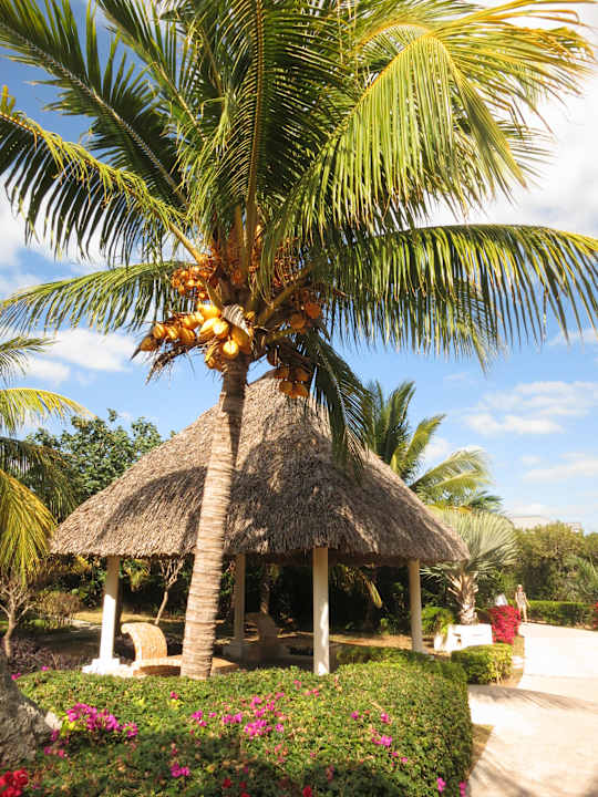 Sehr gepflegter Garten Melia Las Dunas