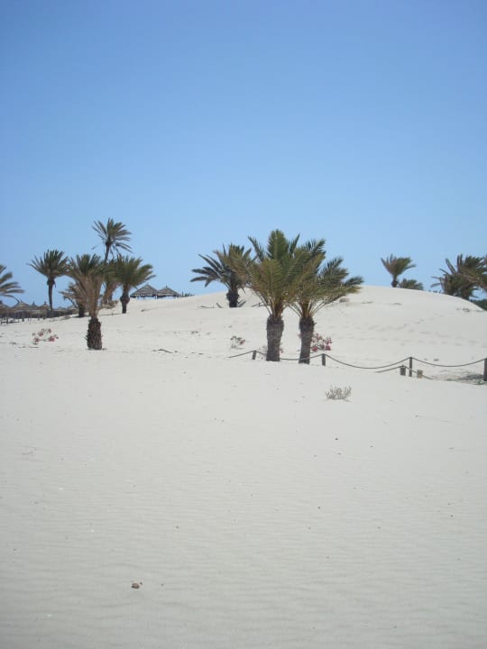 Dünen so weit das Auge reicht Iberostar Waves Mehari Djerba