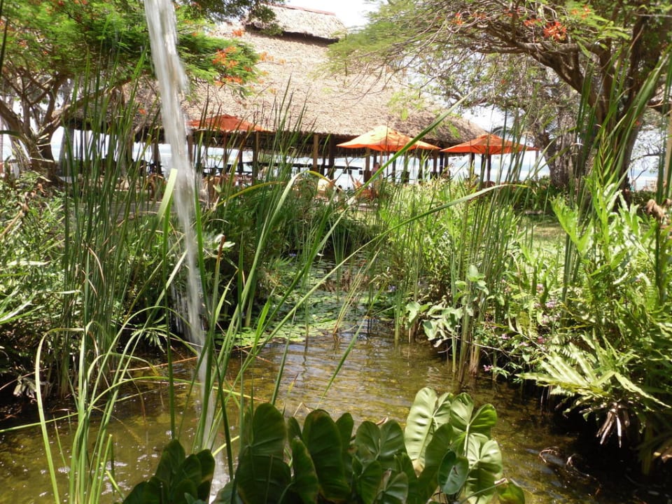 Am Eingang Baobab Beach Resort & Spa