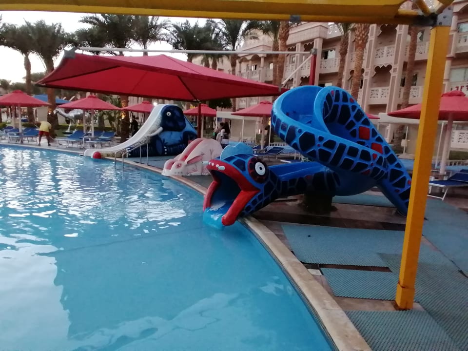 Sport & Freizeit Pickalbatros Palace Resort