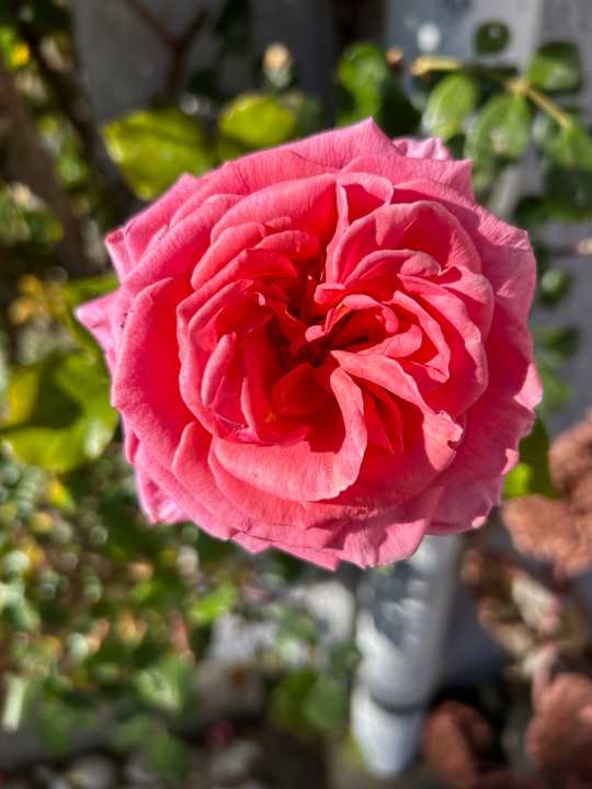 Außenansicht Revital