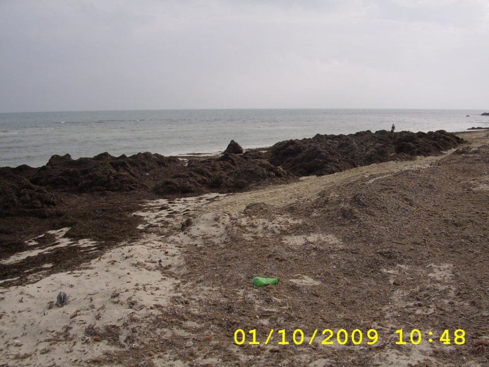 verdreckter Strand Sidi Mansour Resort & Spa