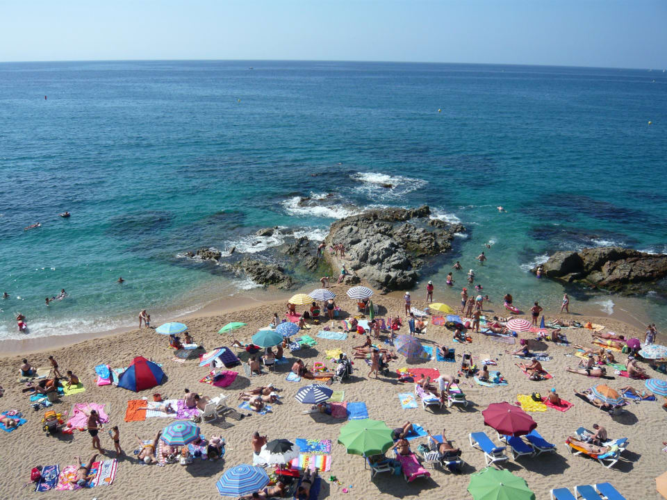 Encore une vue magnifique de la mer via notre cham Hotel Rosamar Maxim - Adults only