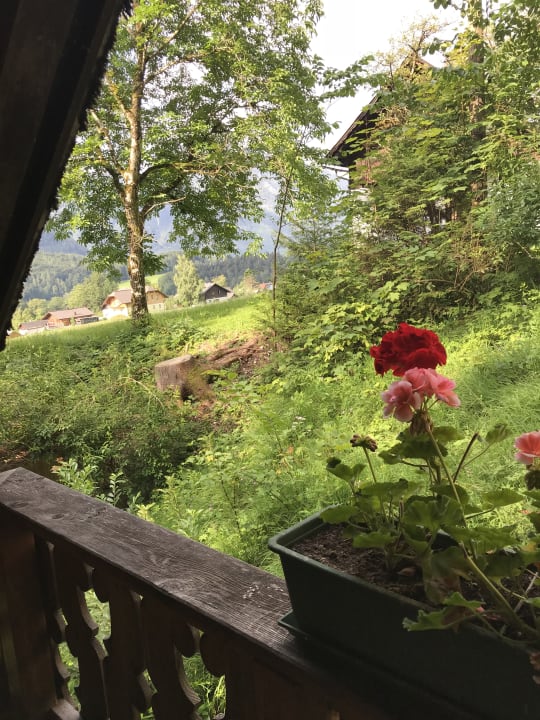Ausblick Ferienhaus Wassermühle
