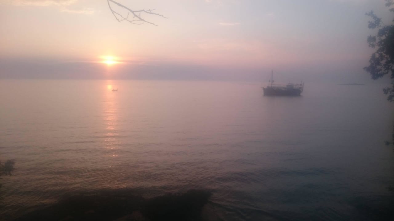 Ausblick Hotel Zorna Plava Laguna