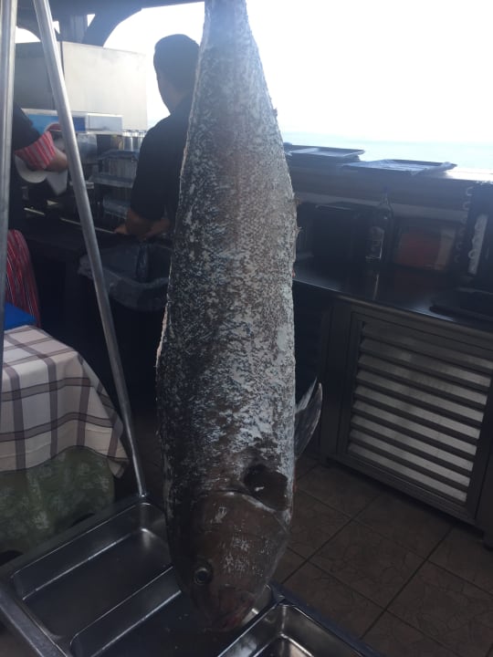 Restaurant Hotel Kalithea Horizon Royal