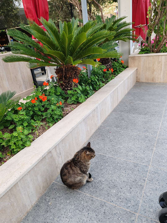 Sonstiges Belek Beach Resort Hotel