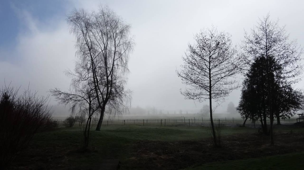 Tolle Aussicht Landhotel Alte Mühle