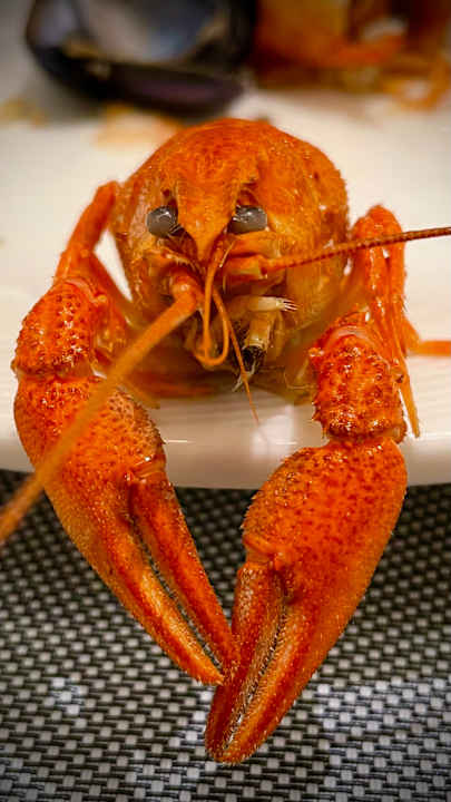 Gastro allsun Numa Club Side