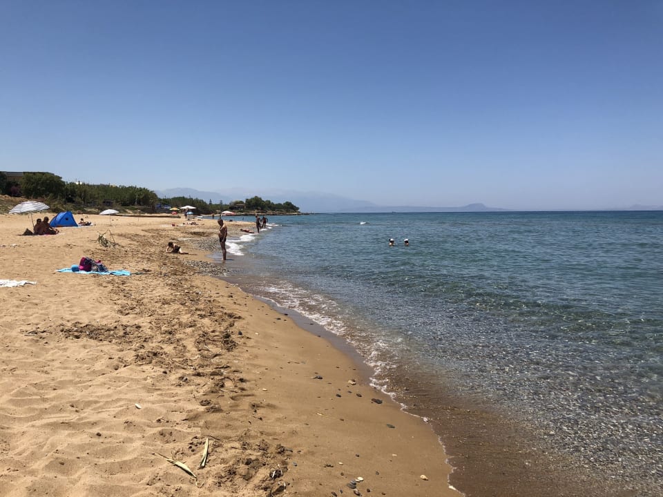 Strand Hotel Dedalos Beach