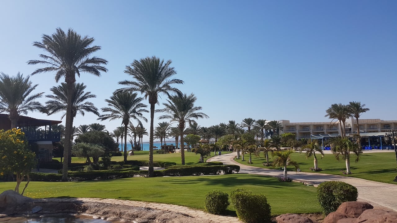 Gartenanlage Palm Royale Resort - Soma Bay