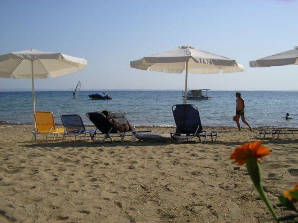 Hotel-Strand Haus des Fischers