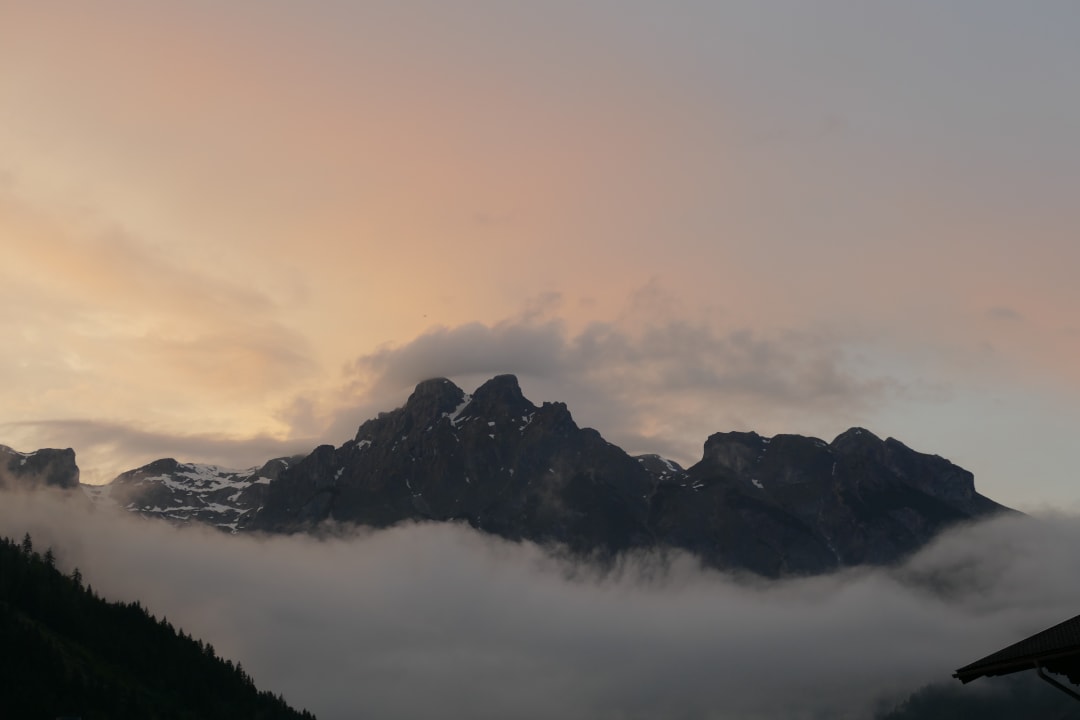 Ausblick Gut Wenghof - Family Resort