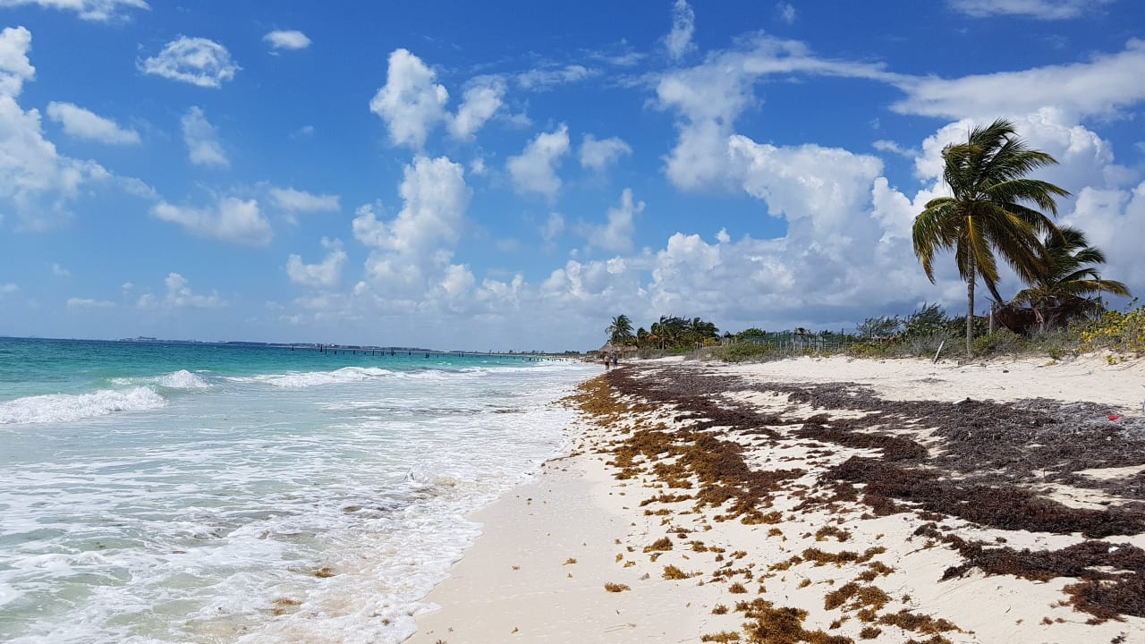 Strand Hotel Riu Dunamar