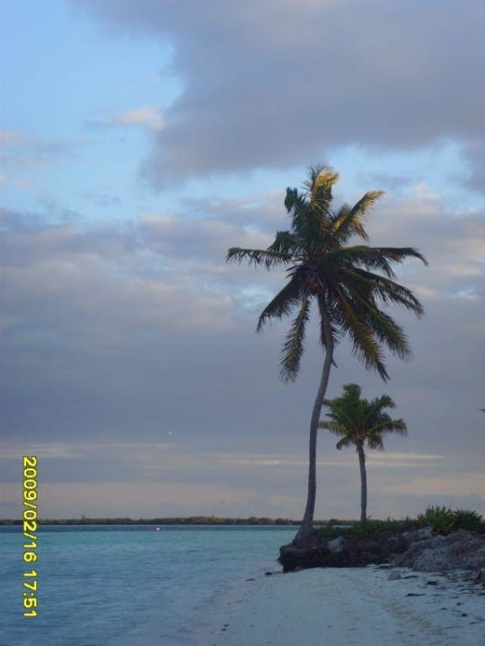 Plaza Starfish Cayo Guillermo