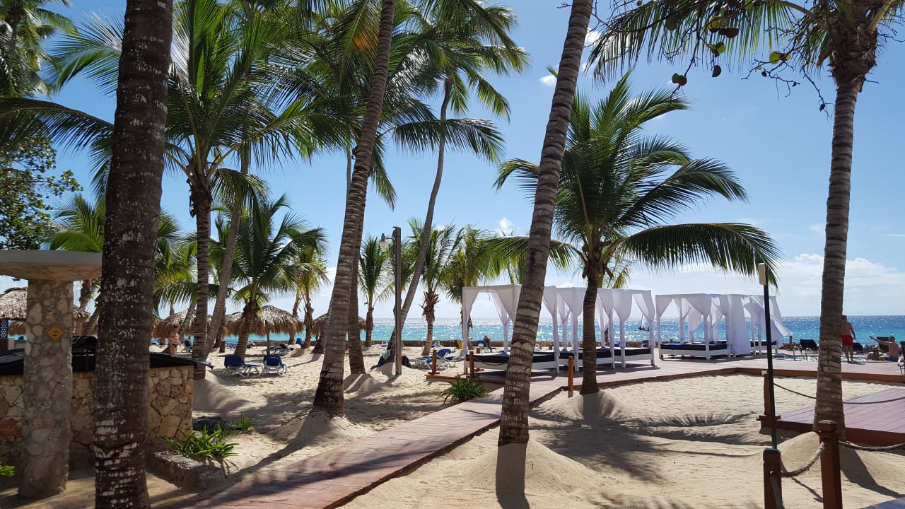 Strand Hotel Viva Dominicus Palace by Wyndham-All Inclusive Resort