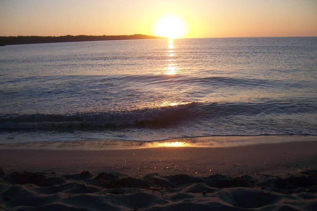 Playa Sa Coma  Aparthotel Playa Dorada