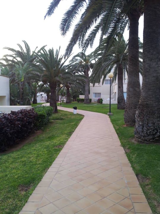 Hotelová zahrada Hotel Riu Oliva Beach - Hotel