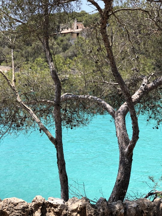 Gartenanlage Iberostar Waves Club Cala Barca