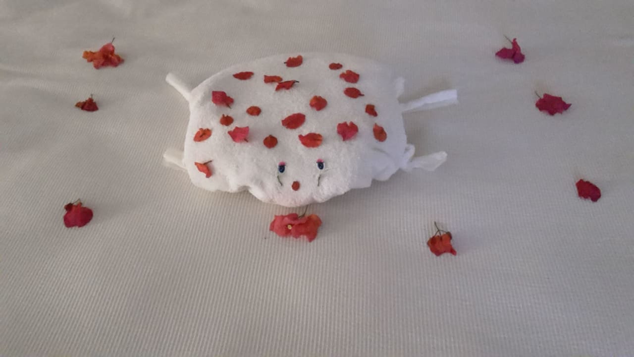 Zimmer Catalonia Royal Tulum Beach & Spa Resort - Adults only