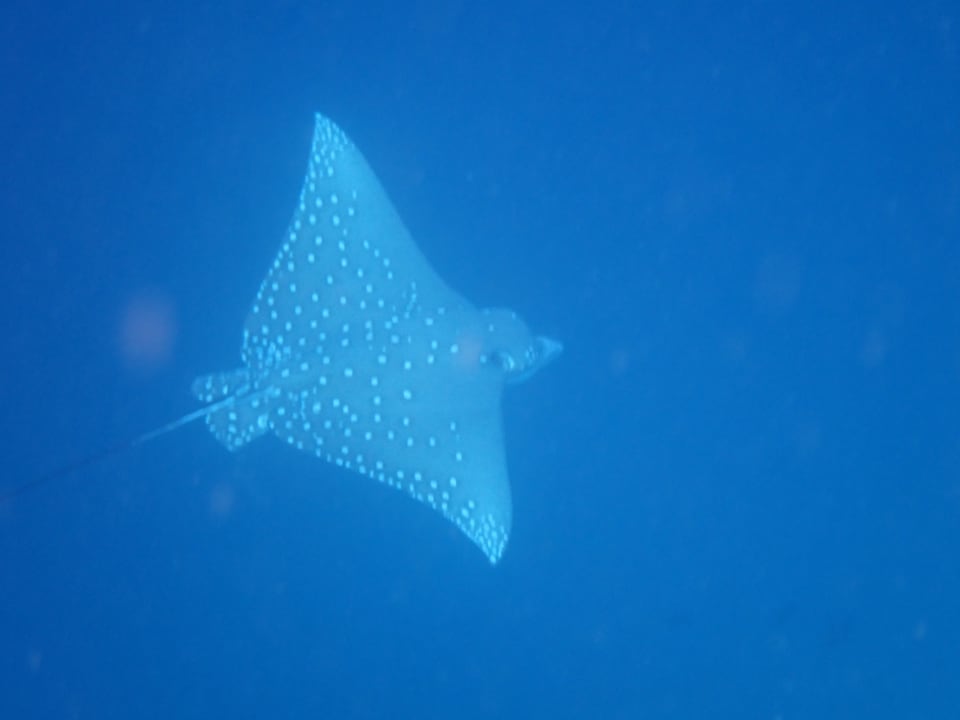 Sport & Freizeit NH Collection Maldives Reethi Resort