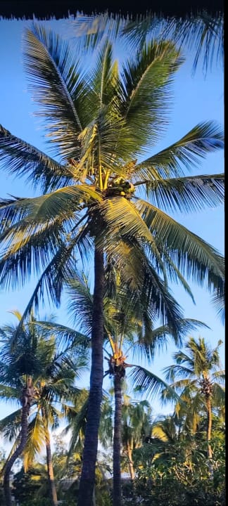 Strand Hotel Southern Palms Beach Resort