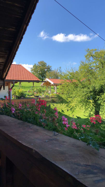 Ausblick Unterulpointhof