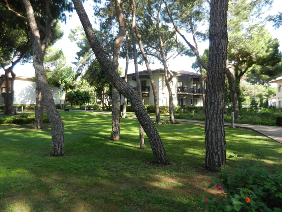 Xanadu  Xanadu Resort Hotel