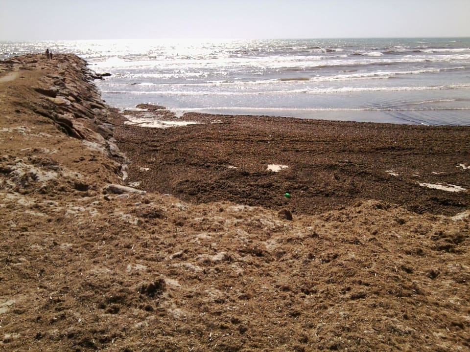 Nachbarstrand  Club Palm Azur