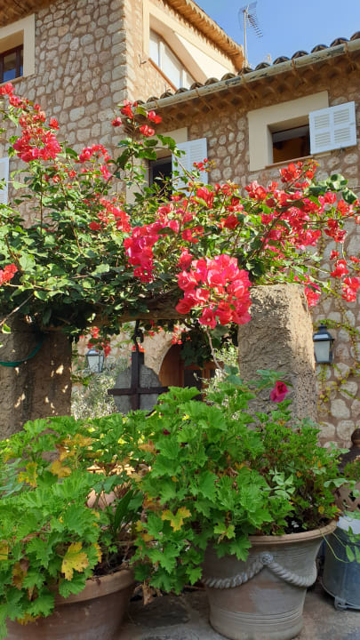 Außenansicht Finca Can Quatre