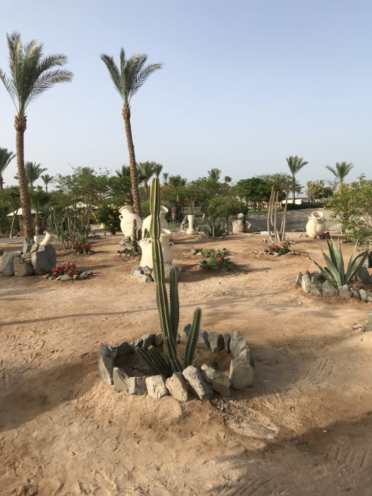 Gartenanlage Steigenberger Aqua Magic