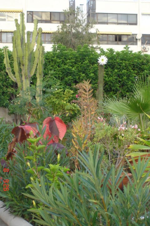 Schöner Garten Hotel Islas Paraiso