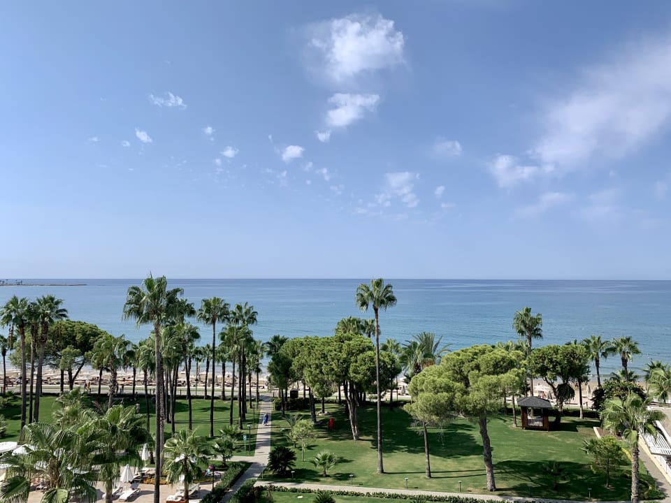 Zimmer Acanthus Cennet Barut Collection