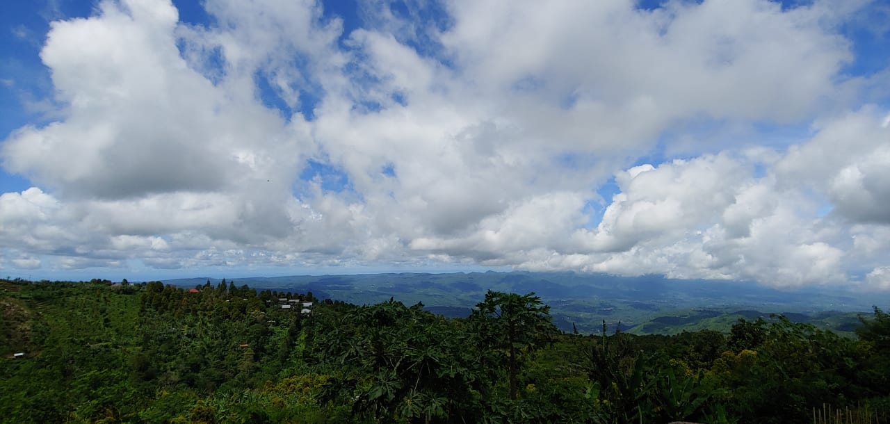 Ausblick Hotel Munduk Moding Plantation Nature