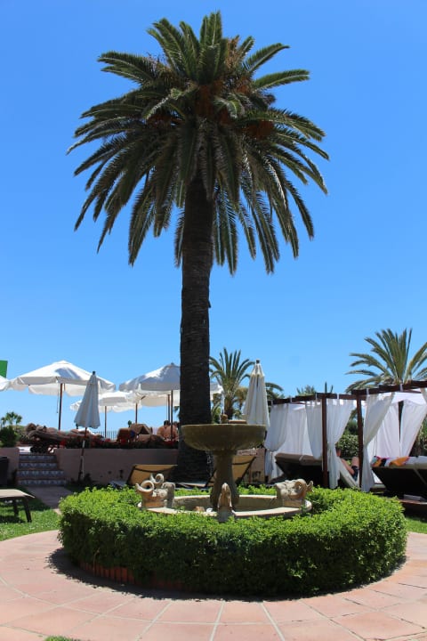 Vor dem Pool Hotel El Fuerte Marbella