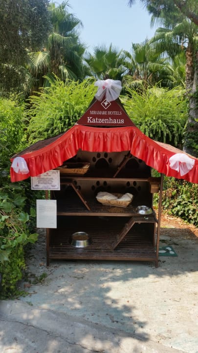Katzenhaus Miramare Queen Hotel