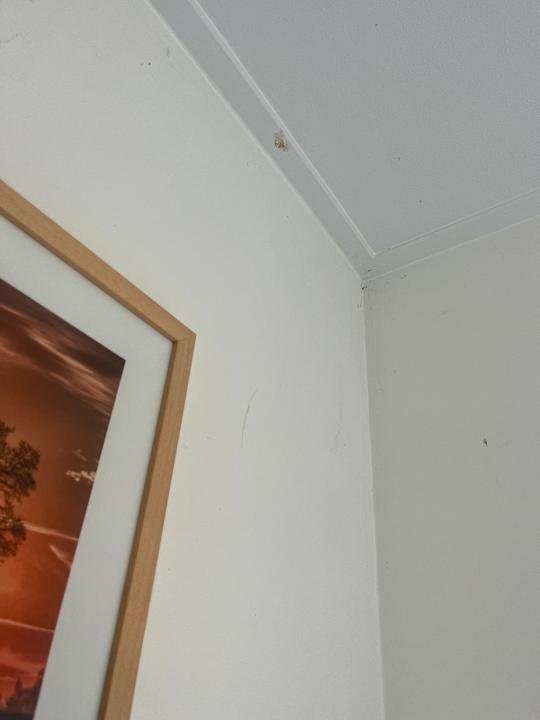 Zimmer EuroParcs Zuiderzee